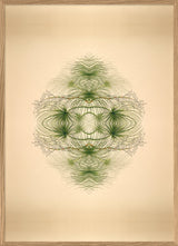 Botanical Reflection Limited Edition Print