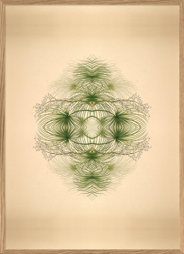 Botanical Reflection Limited Edition Print