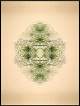 Botanical Reflection Limited Edition Print