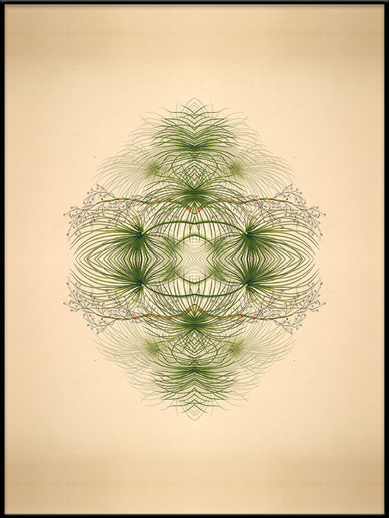 Botanical Reflection Limited Edition Print