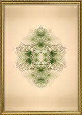 Botanical Reflection Limited Edition Print