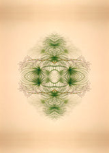 Botanical Reflection Limited Edition Print