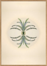 Botanical Reflection Limited Edition Print