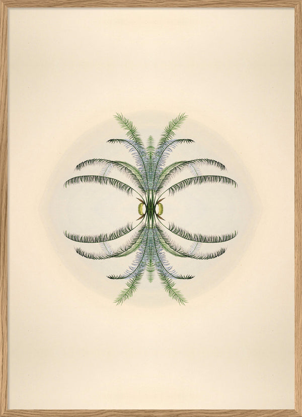 Botanical Reflection Limited Edition Print