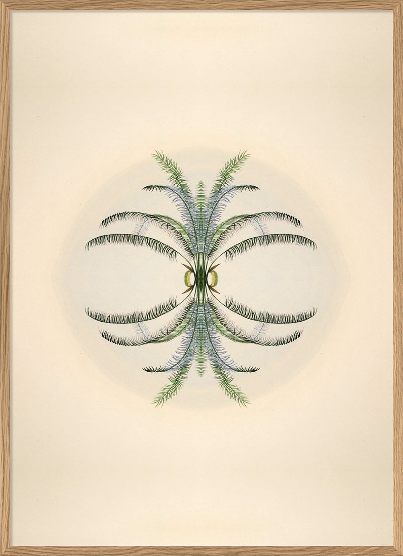 Botanical Reflection Limited Edition Print