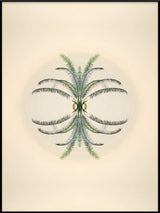 Botanical Reflection Limited Edition Print