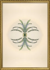 Botanical Reflection Limited Edition Print