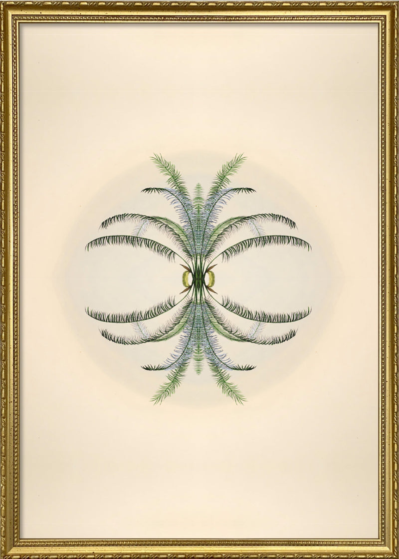 Botanical Reflection Limited Edition Print