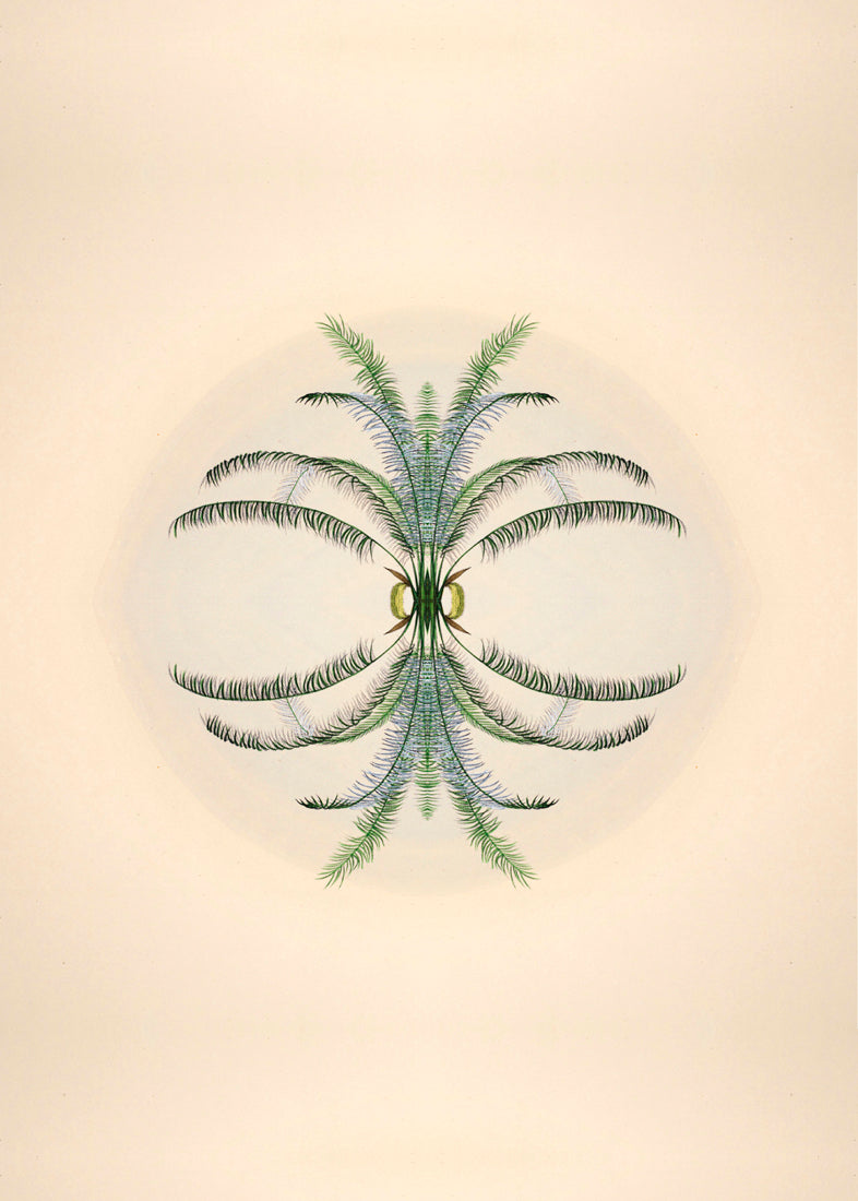 Botanical Reflection Limited Edition Print