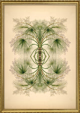 Botanical Reflection Limited Edition Print