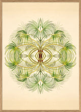 Botanical Reflection Limited Edition Print