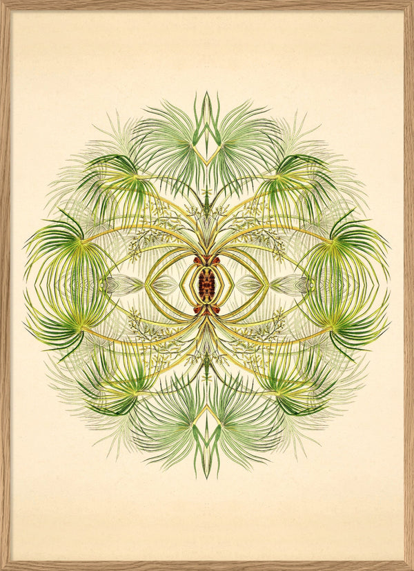 Botanical Reflection Limited Edition Print