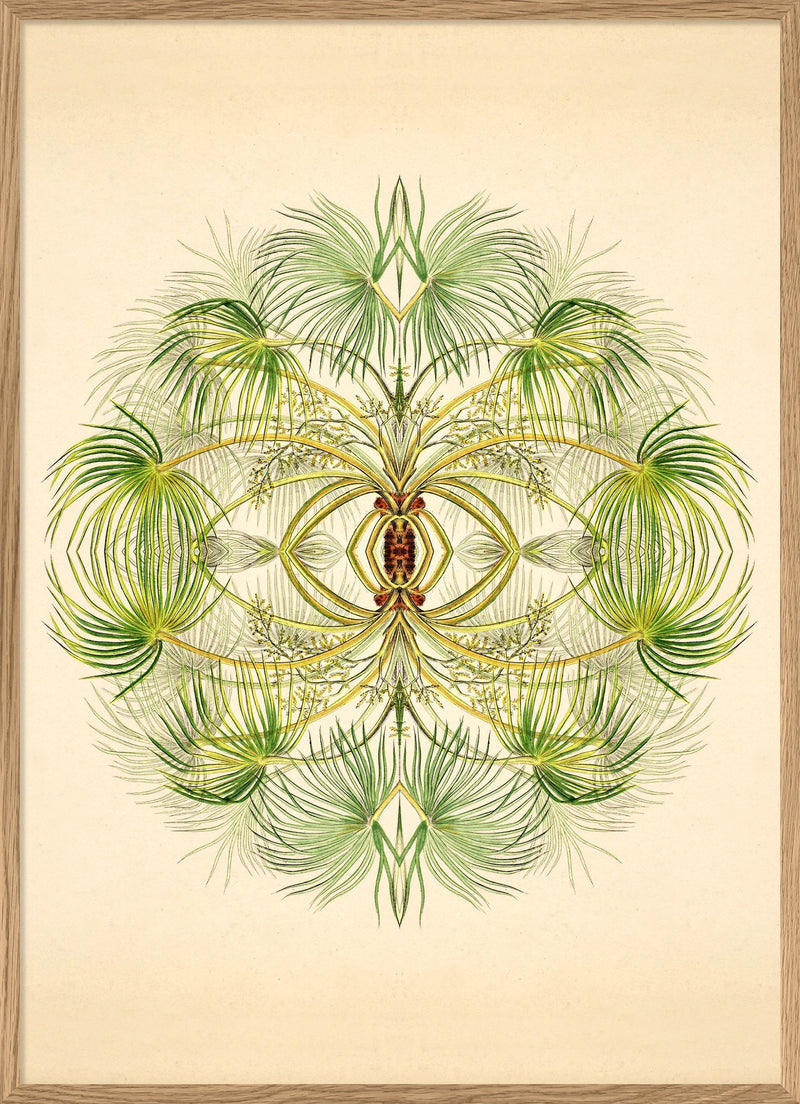 Botanical Reflection Limited Edition Print