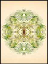 Botanical Reflection Limited Edition Print