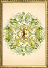 Botanical Reflection Limited Edition Print
