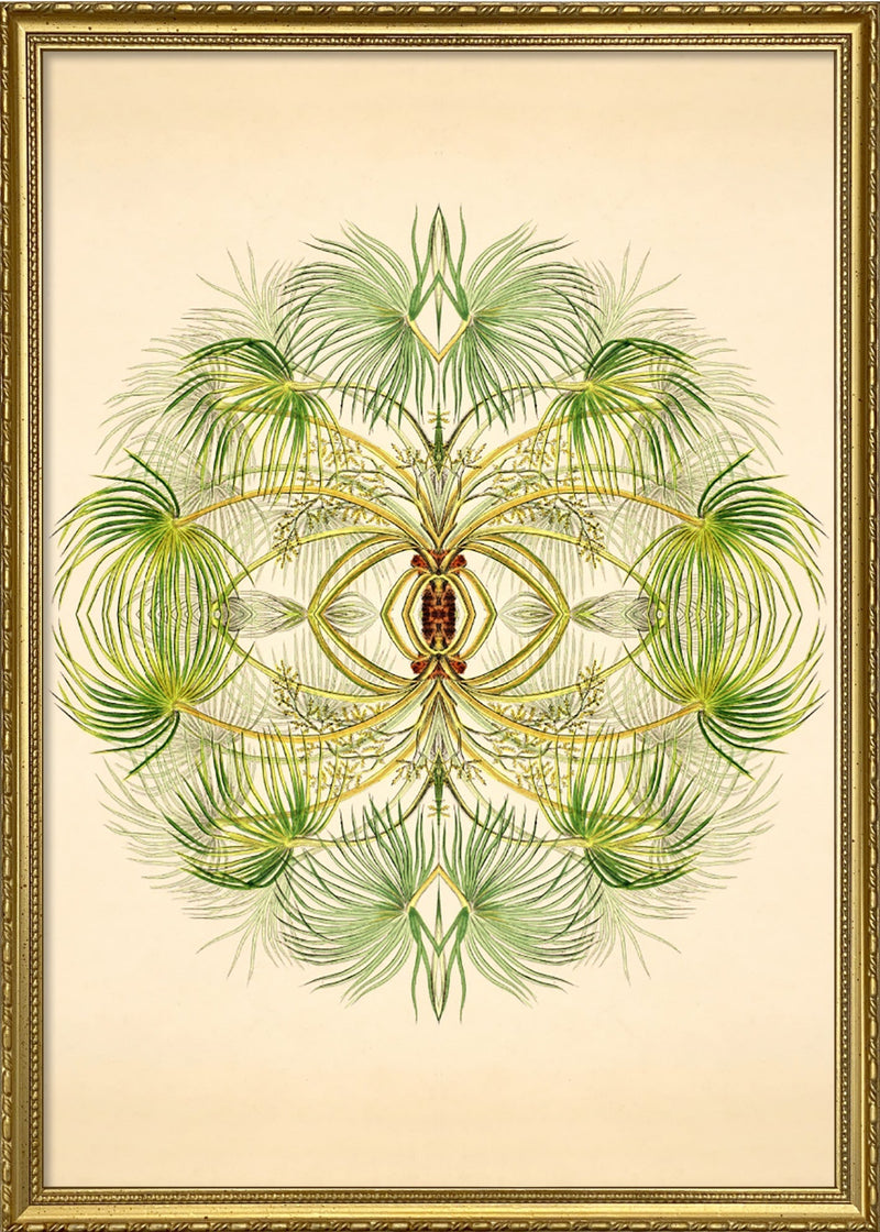 Botanical Reflection Limited Edition Print