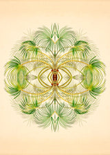 Botanical Reflection Limited Edition Print