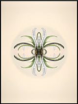 Botanical Reflection Limited Edition Print