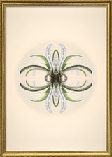 Botanical Reflection Limited Edition Print