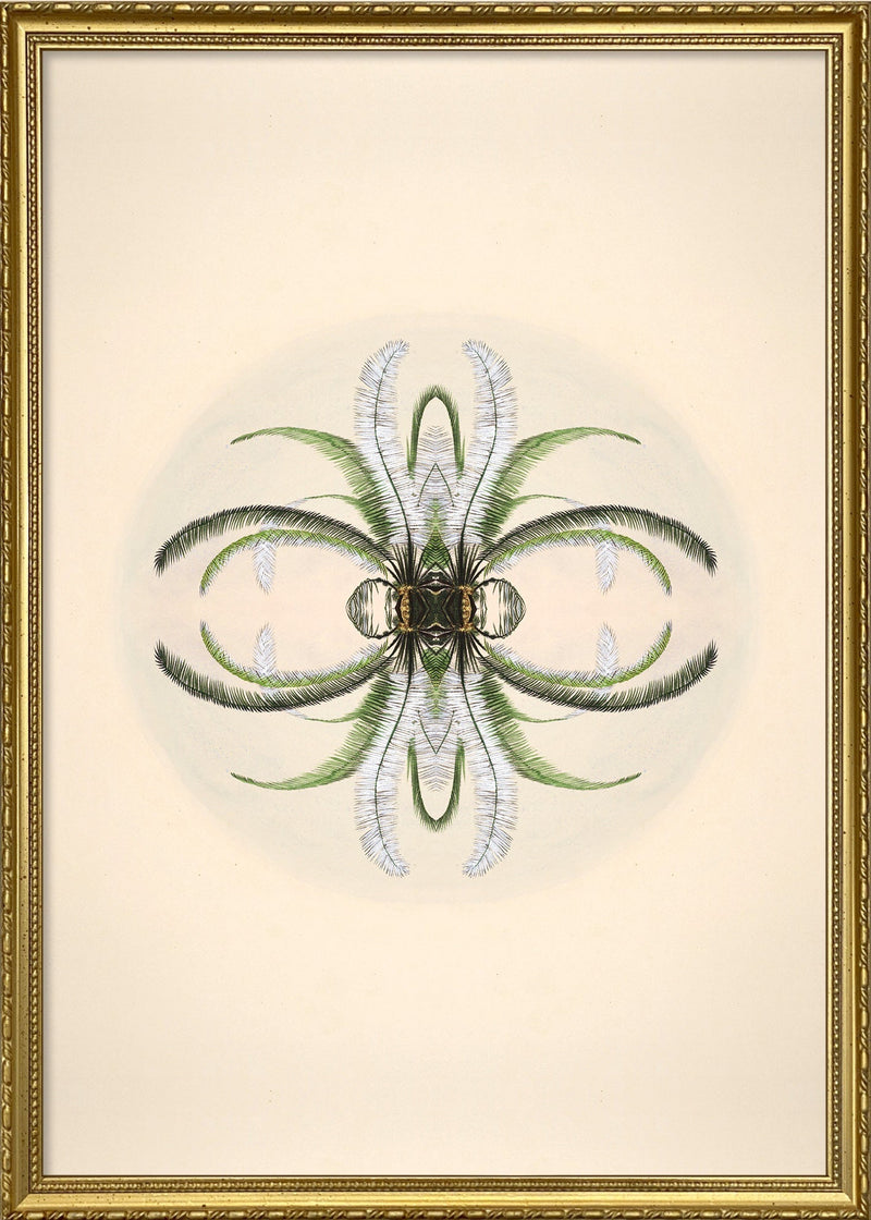 Botanical Reflection Limited Edition Print