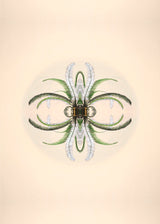 Botanical Reflection Limited Edition Print
