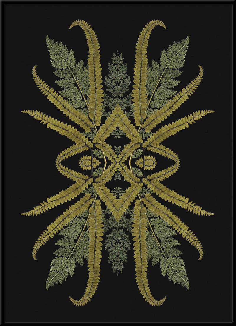 Botanical Reflection Limited Edition Print