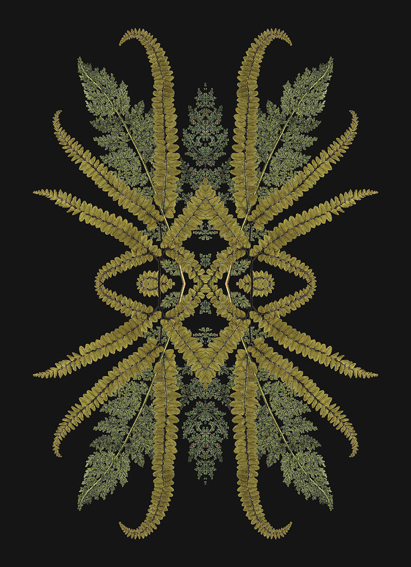 Botanical Reflection Limited Edition Print