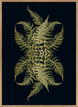 Botanical Reflection Limited Edition Print