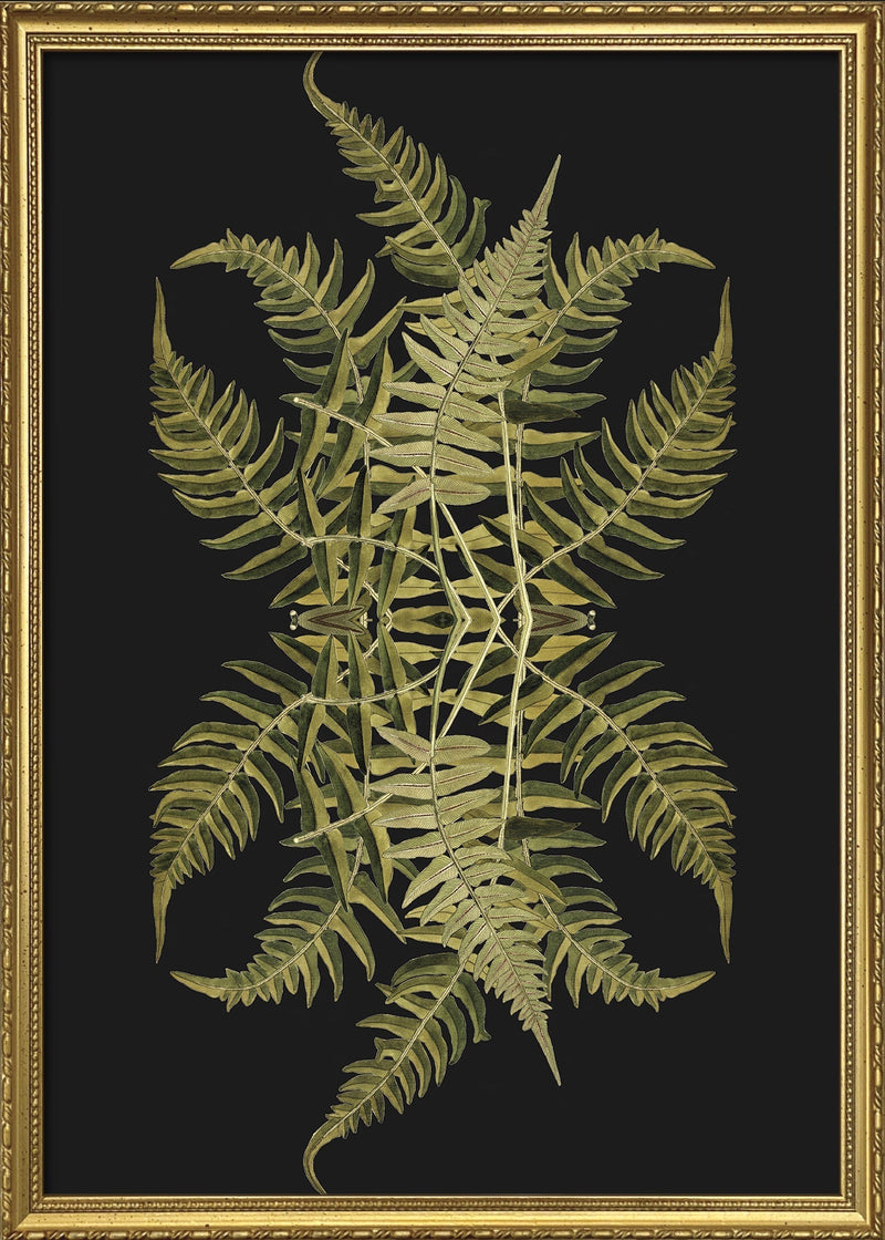 Botanical Reflection Limited Edition Print