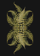 Botanical Reflection Limited Edition Print