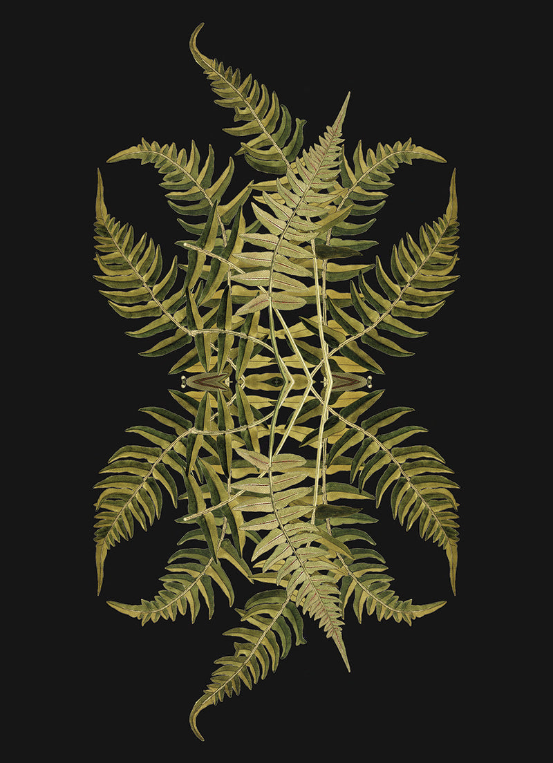 Botanical Reflection Limited Edition Print