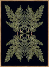 Botanical Reflection Limited Edition Print