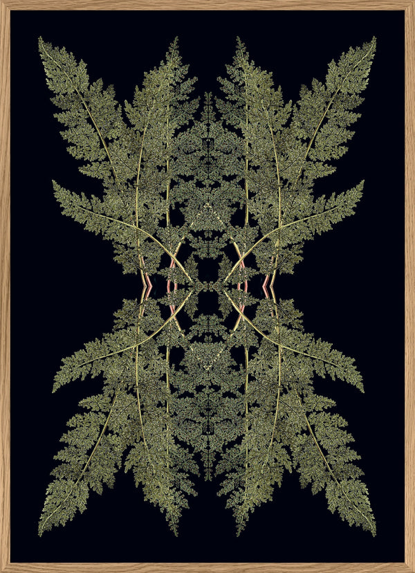 Botanical Reflection Limited Edition Print