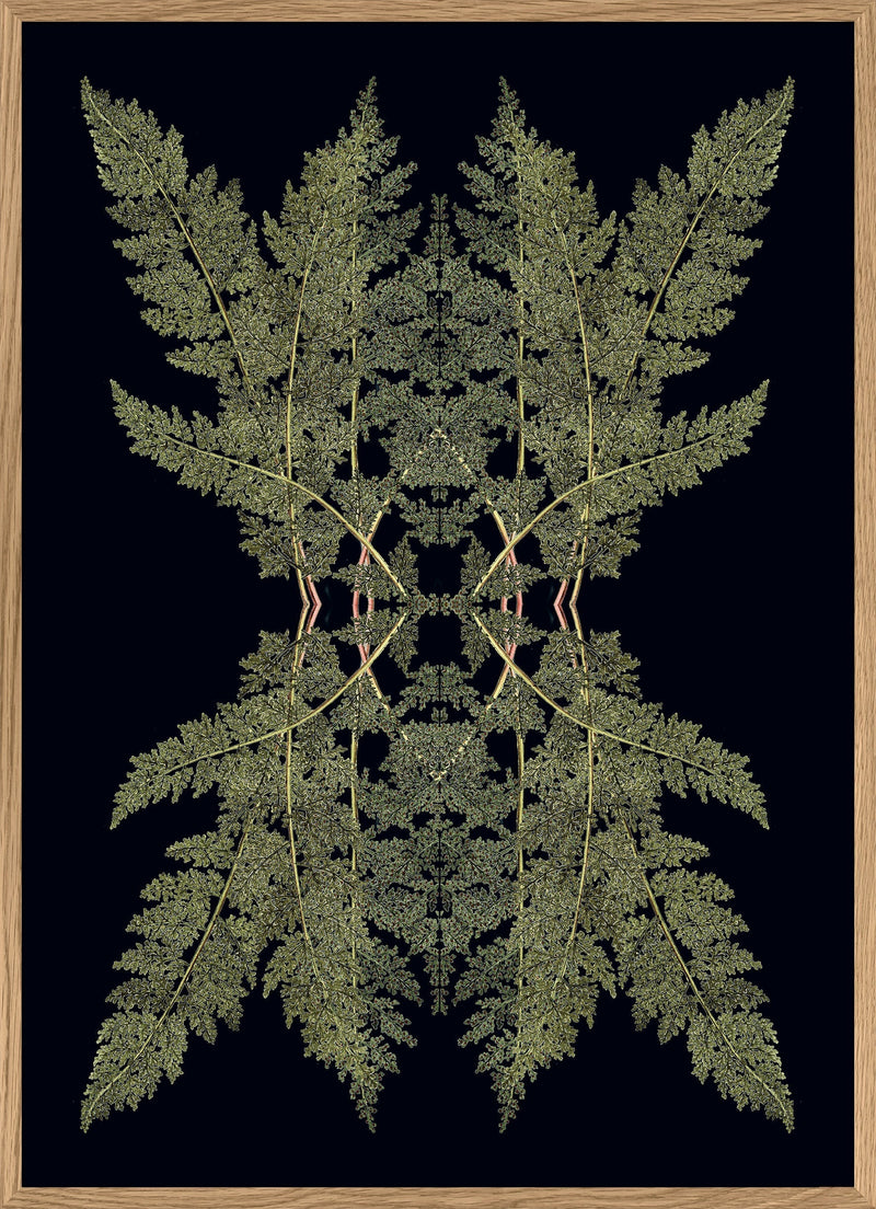 Botanical Reflection Limited Edition Print