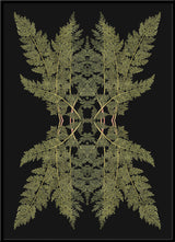 Botanical Reflection Limited Edition Print