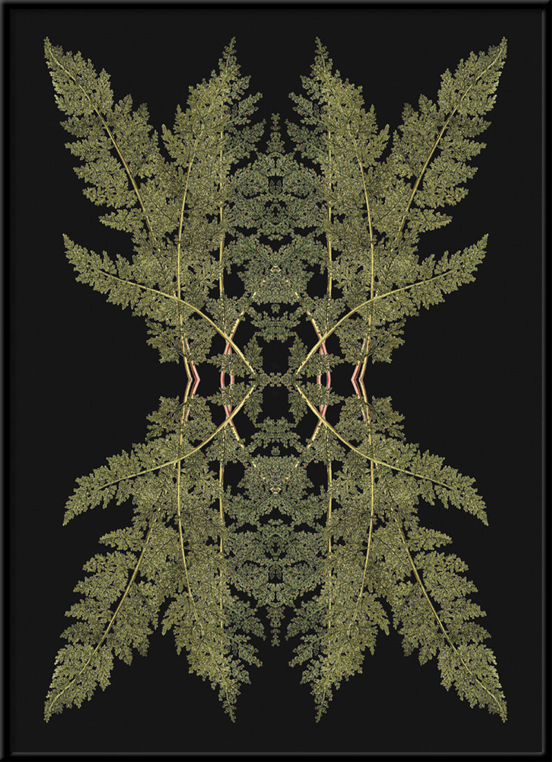 Botanical Reflection Limited Edition Print
