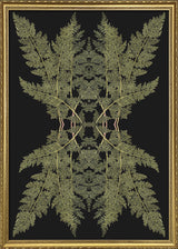 Botanical Reflection Limited Edition Print