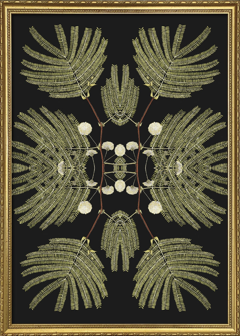 Botanical Reflection Limited Edition Print