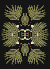 Botanical Reflection Limited Edition Print