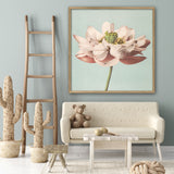 Lotus Flower Blooming - Outlet