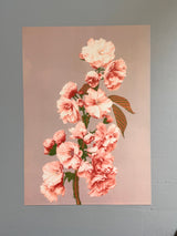Cherry Blossom - Outlet