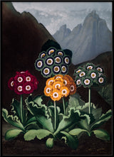 Green, Blue, Red and Yellow Flowers