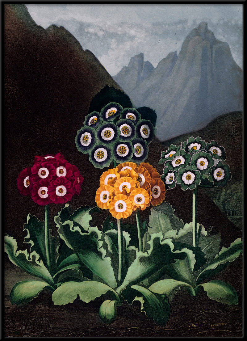 Green, Blue, Red and Yellow Flowers