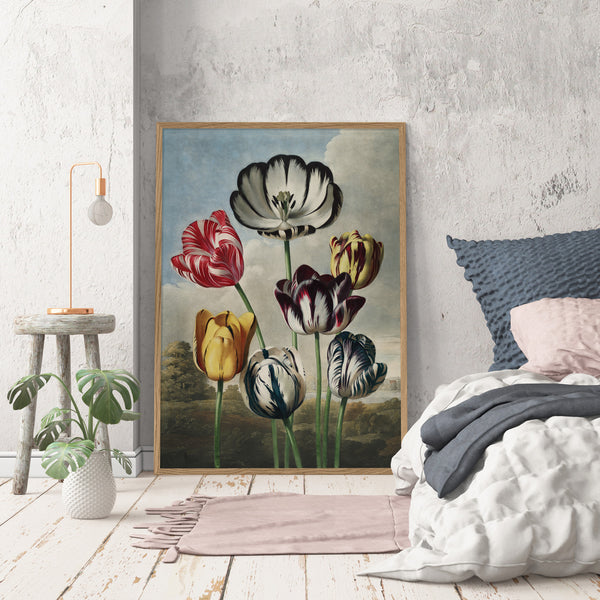 Tulips