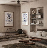 Octopuses and Cuttlefish