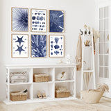 Sea Urchin with Spines - detail I.