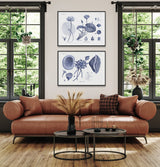 White and blue Water Lilies