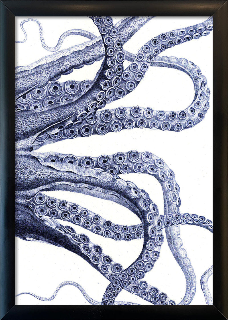 Octopus - detail I.