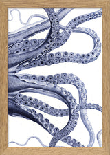 Octopus - detail I.