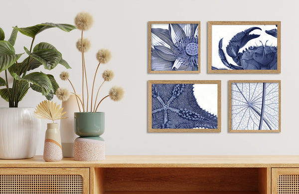 Sacred Lotus - detail